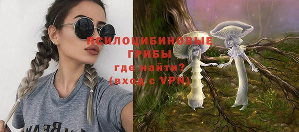 мяу мяу мука Белокуриха
