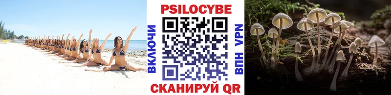 Псилоцибиновые грибы Psilocybine cubensis  цены   Дятьково 